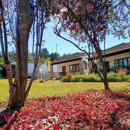 Villa Tottam Art & Healthy Garden Málaga Esterno foto