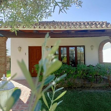 Villa Tottam Art & Healthy Garden Málaga Esterno foto