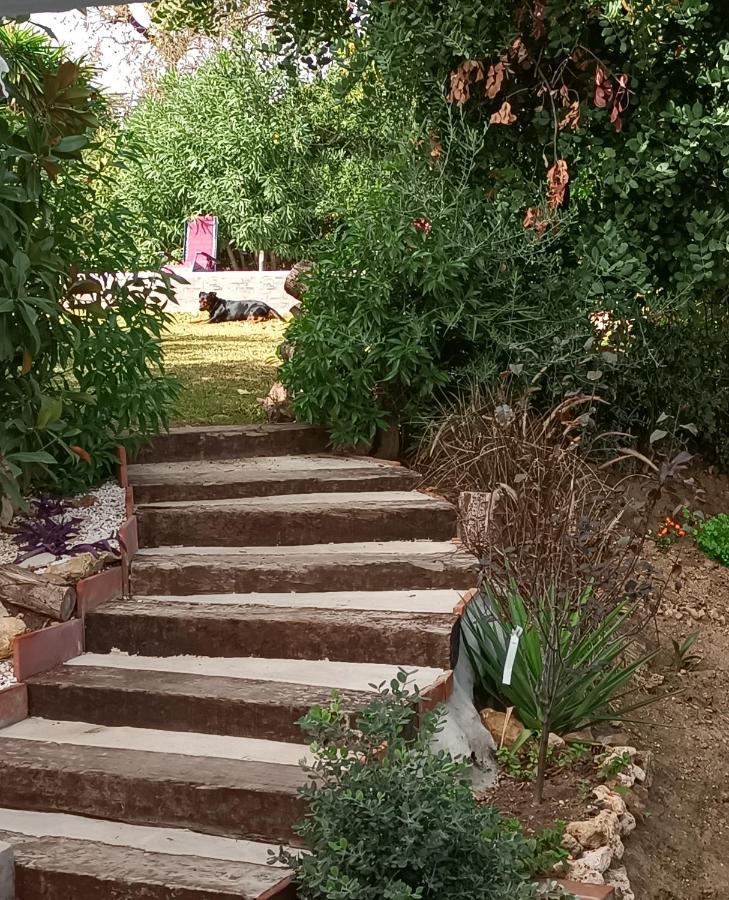 Villa Tottam Art & Healthy Garden Málaga Esterno foto