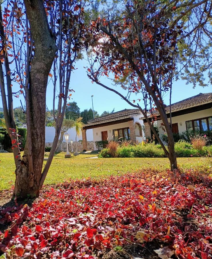 Villa Tottam Art & Healthy Garden Málaga Esterno foto