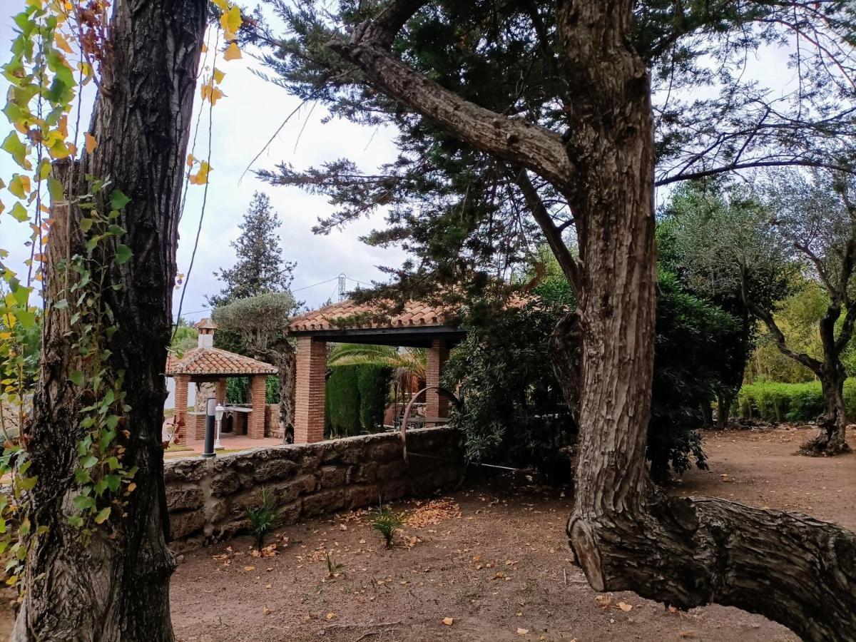 Villa Tottam Art & Healthy Garden Málaga Esterno foto