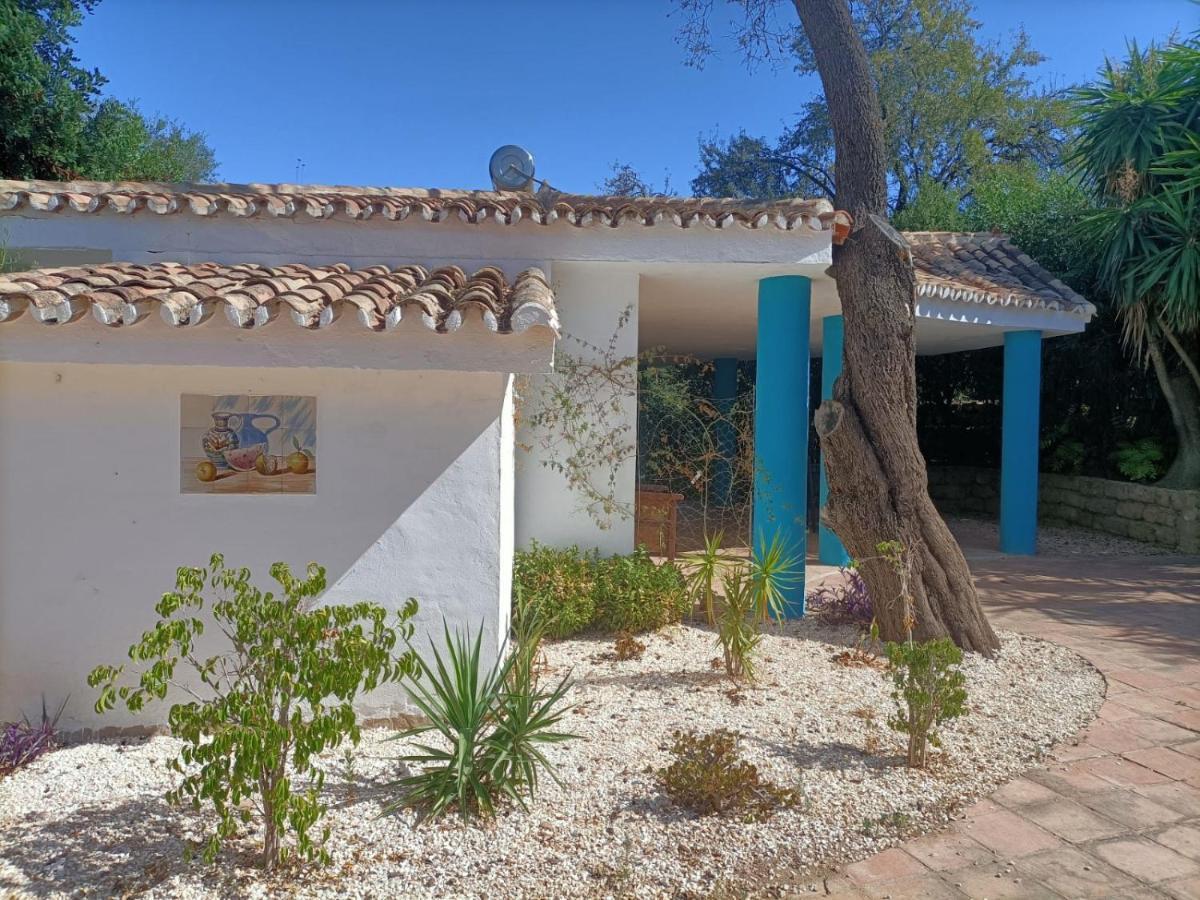 Villa Tottam Art & Healthy Garden Málaga Esterno foto