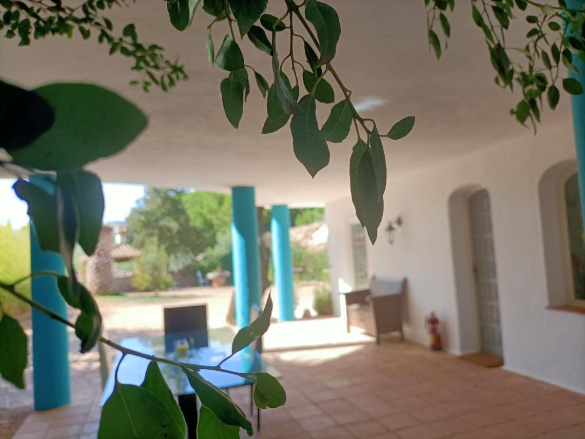 Villa Tottam Art & Healthy Garden Málaga Esterno foto