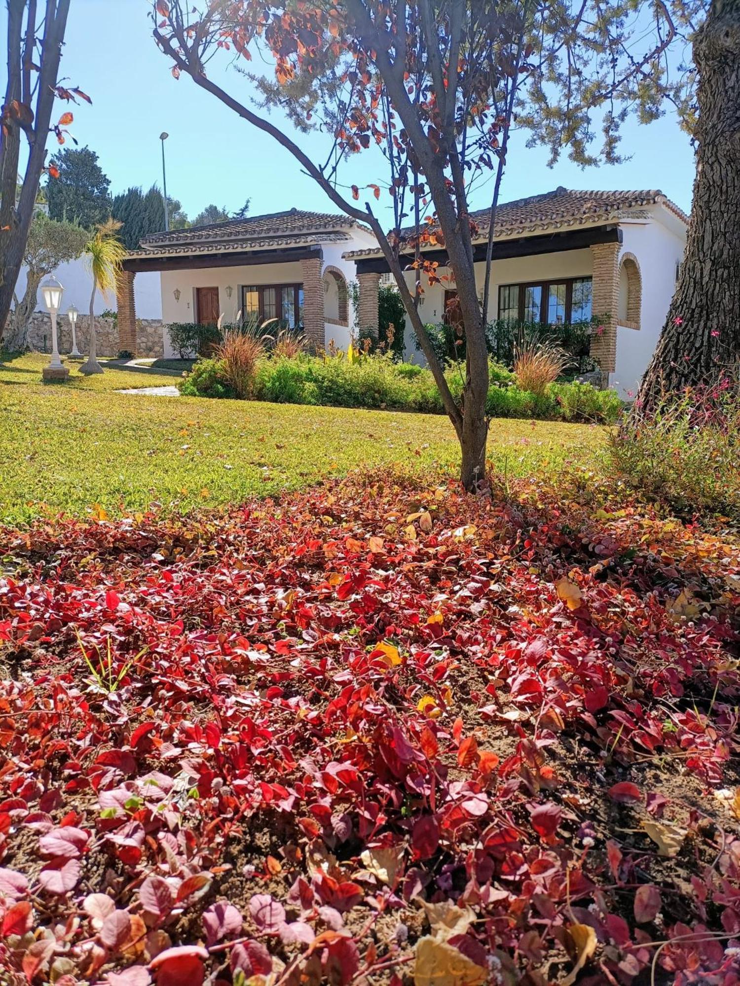 Villa Tottam Art & Healthy Garden Málaga Esterno foto